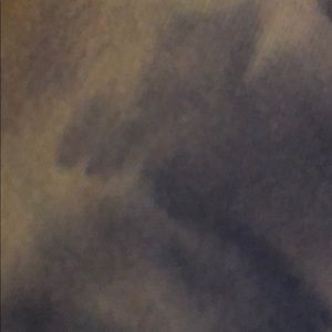 Meet your Posher, Molly